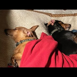 Meet your Posher, Joanne